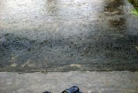 Puncak Musim Hujan di Lampung Terjadi Mulai Januari Hingga April 2024. Foto: Akiasuri/Flickr.com